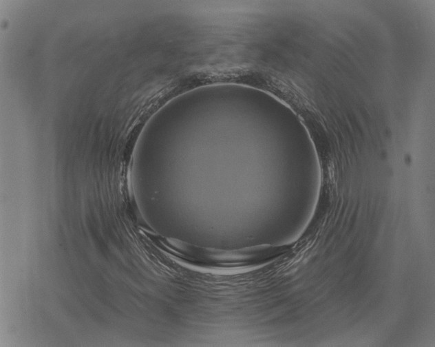 X0000075861300200609221745