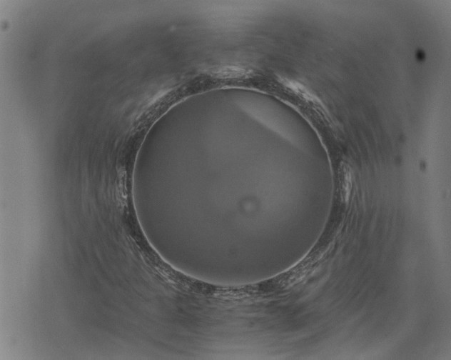 X0000075861301200609221745