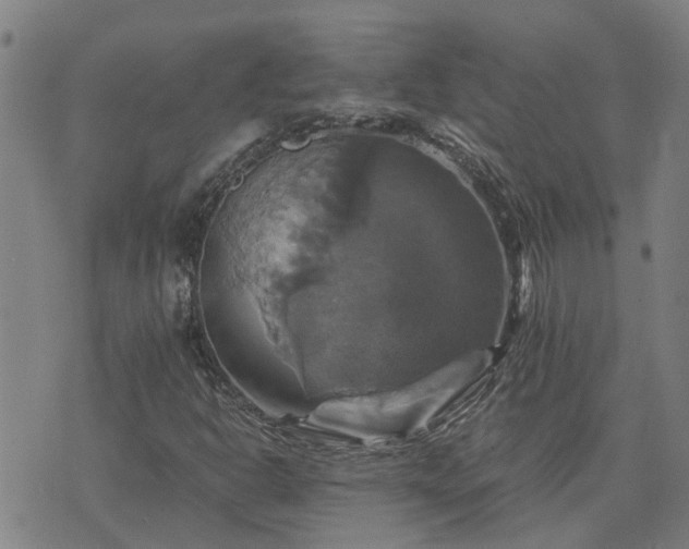 X0000075861302200609221745