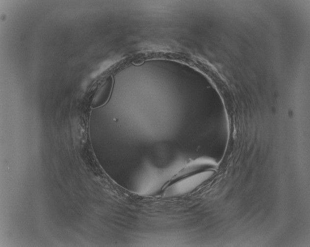 X0000075861303200609221745