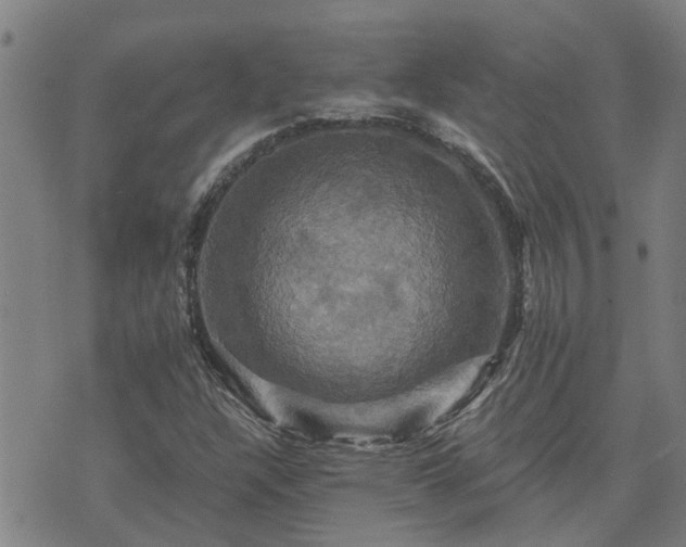 X0000075861304200609221745