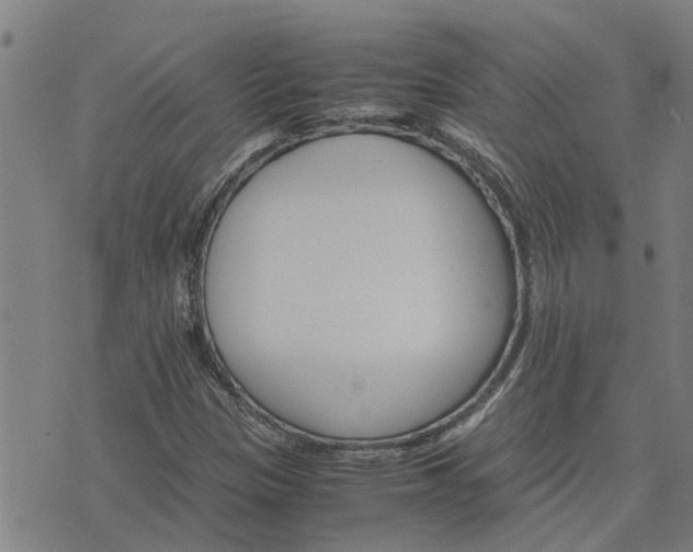 X0000075861305200609221745