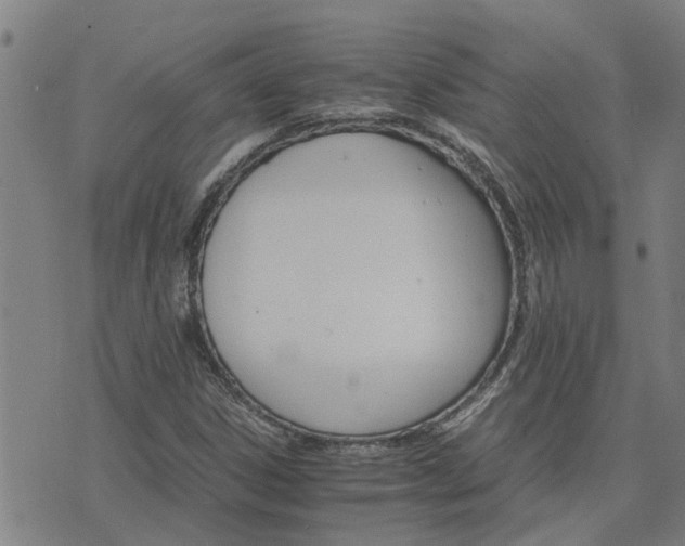 X0000075861306200609221745