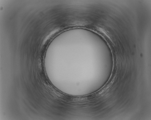 X0000075861307200609221745