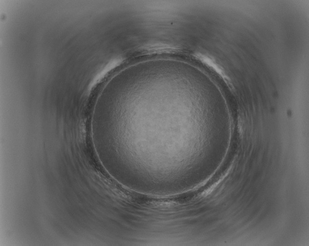 X0000075861309200609221745