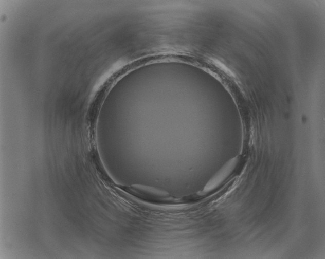 X0000075861310200609221745