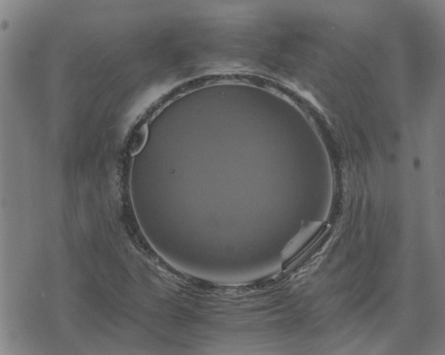 X0000075861311200609221745