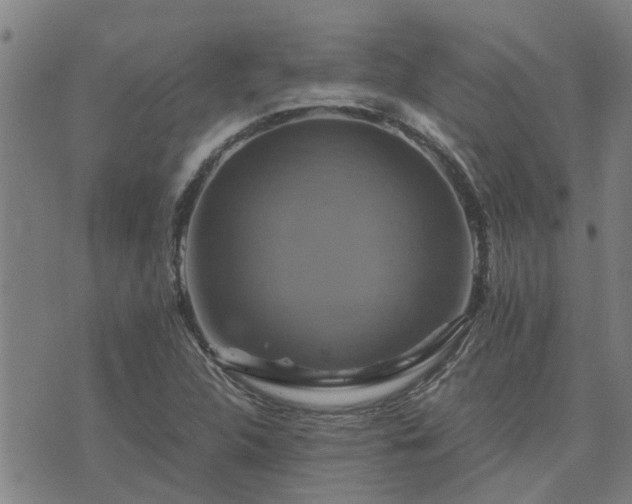 X0000075861312200609221745