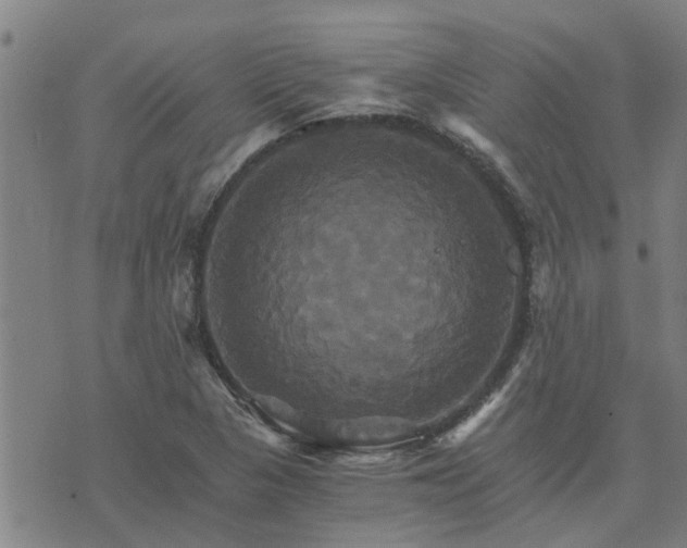 X0000075861313200609221745