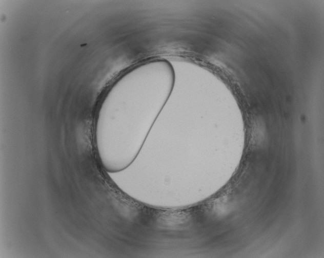 X0000075861314200609221745