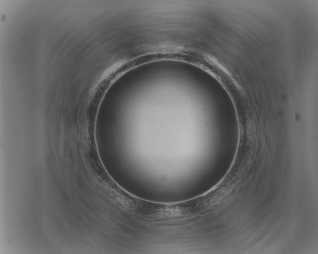 X0000075861315200609221745