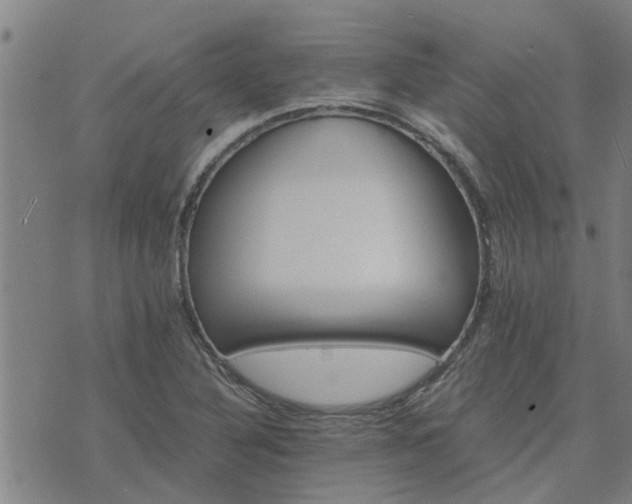 X0000075861316200609221745