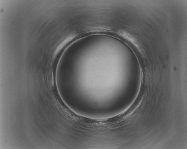 X0000075861317200609221746