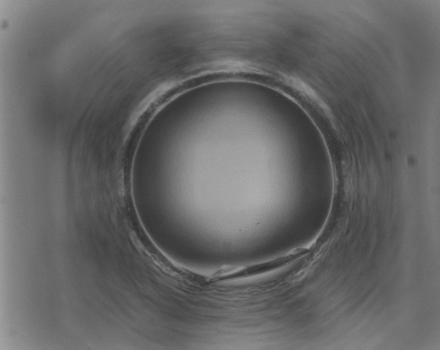 X0000075861318200609221746