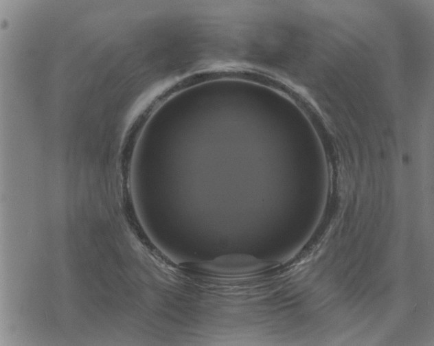 X0000075861319200609221746