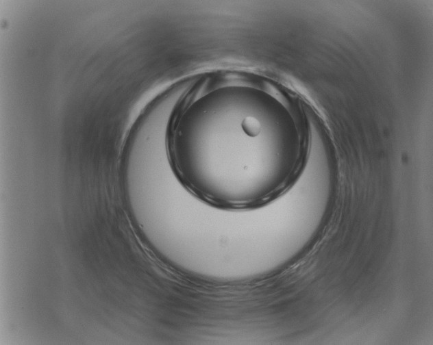 X0000075861320200609221746