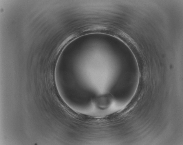 X0000075861321200609221746