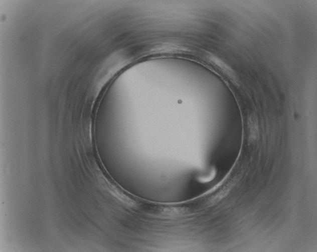 X0000075861322200609221746