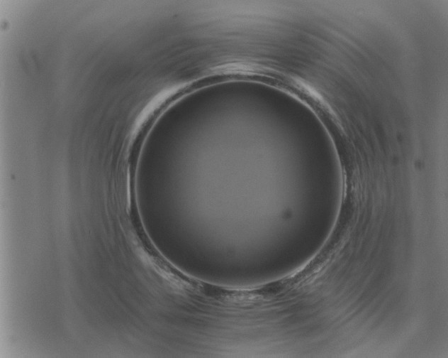 X0000075861323200609221746