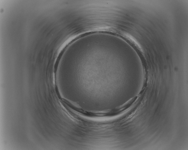 X0000075861324200609221746