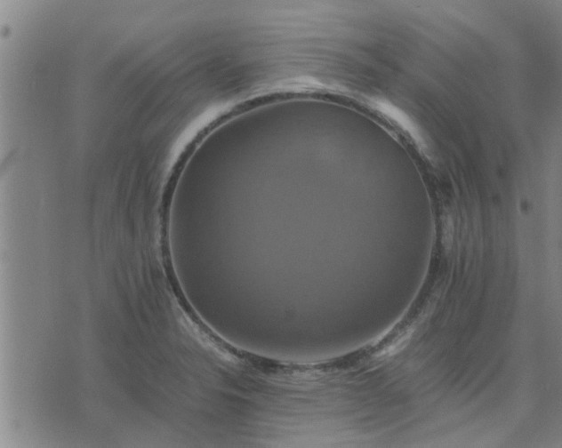 X0000075861326200609221746