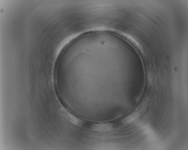 X0000075861327200609221746