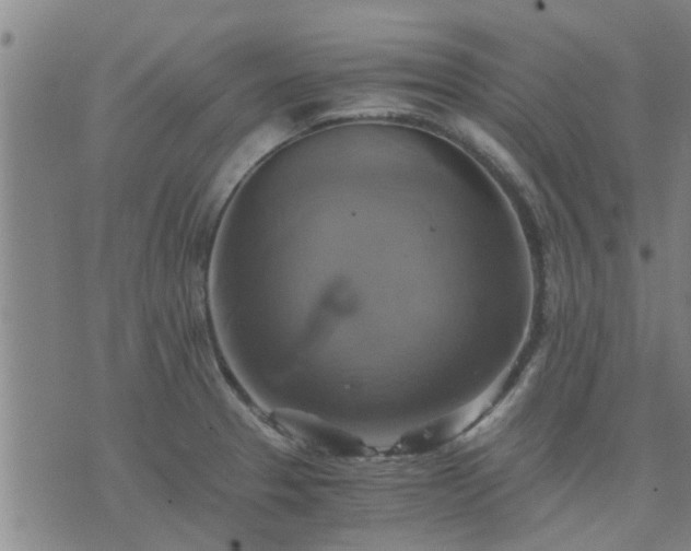 X0000075861329200609221746