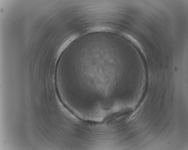 X0000075861330200609221746