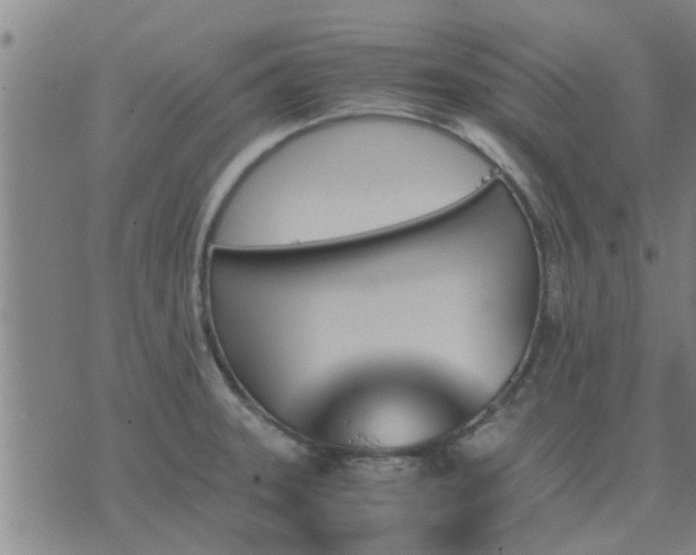 X0000075861331200609221746