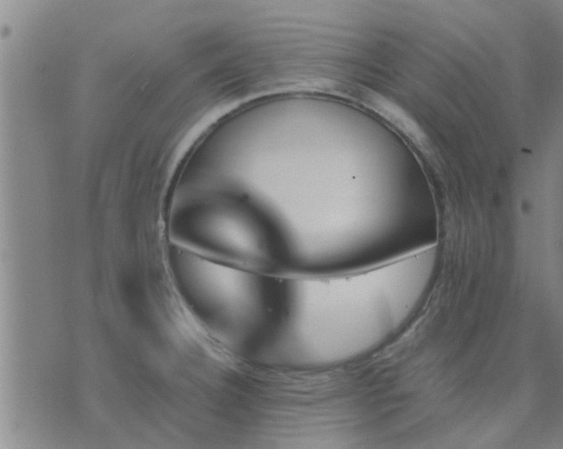 X0000075861332200609221746