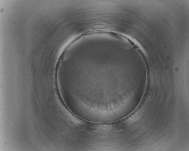 X0000075861333200609221746