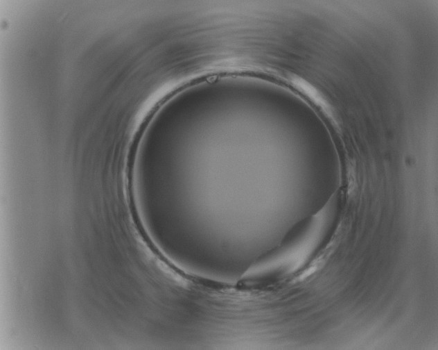 X0000075861334200609221746