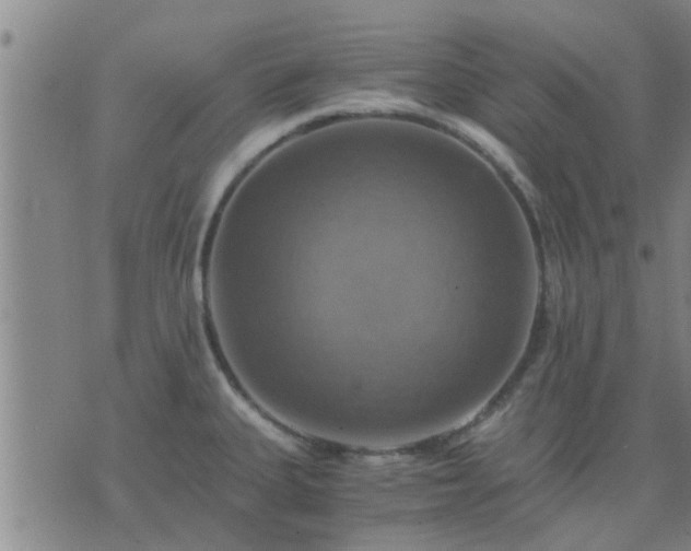 X0000075861335200609221746