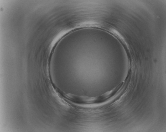 X0000075861336200609221746