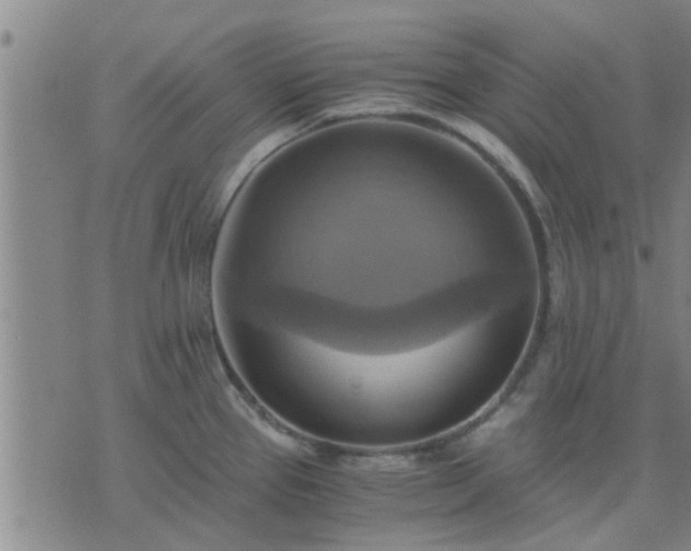 X0000075861337200609221746