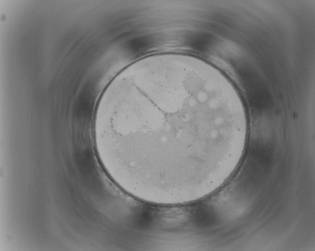 X0000075861338200609221746