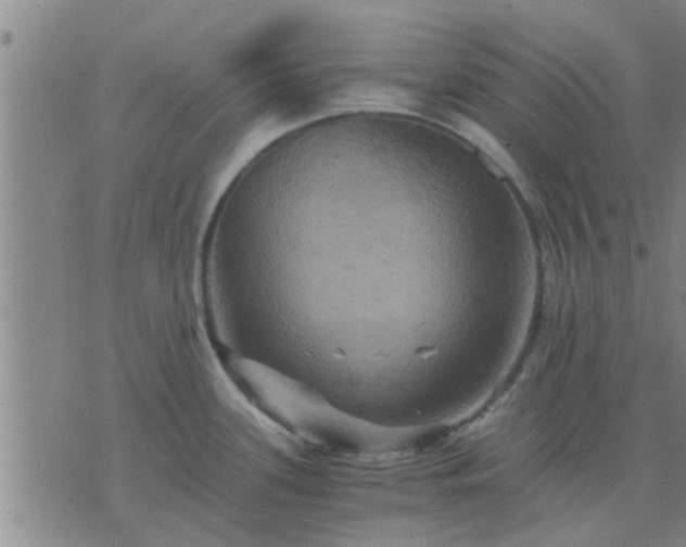 X0000075861339200609221746