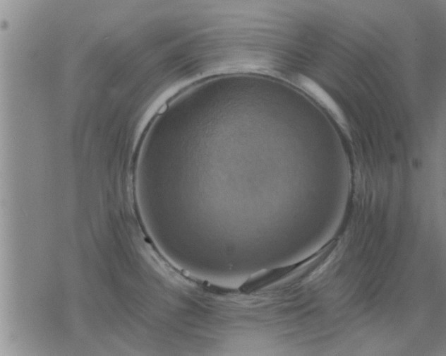 X0000075861340200609221746