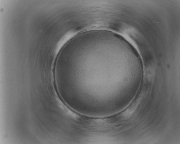 X0000075861341200609221746