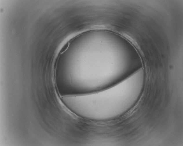 X0000075861342200609221746