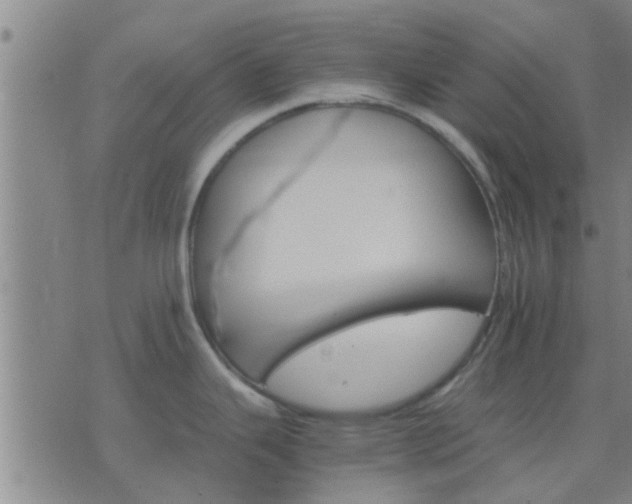 X0000075861343200609221746