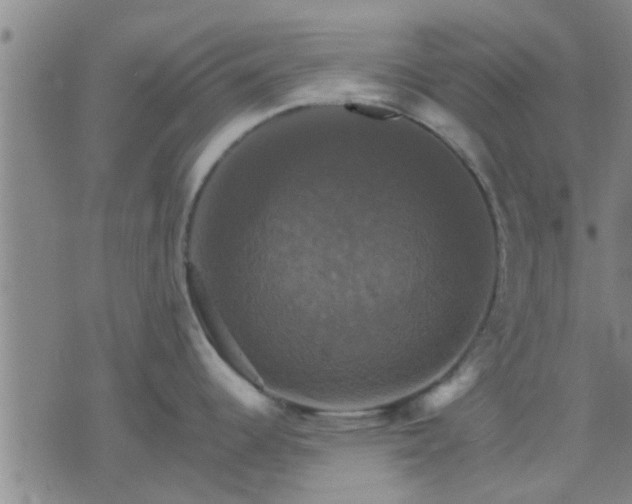 X0000075861344200609221746