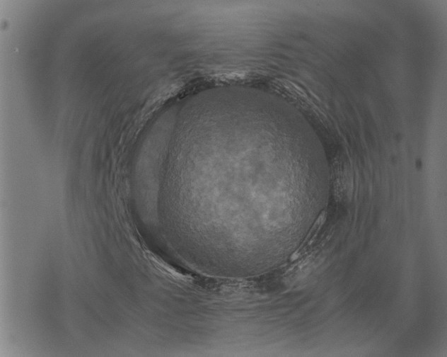 X0000075861345200609221745