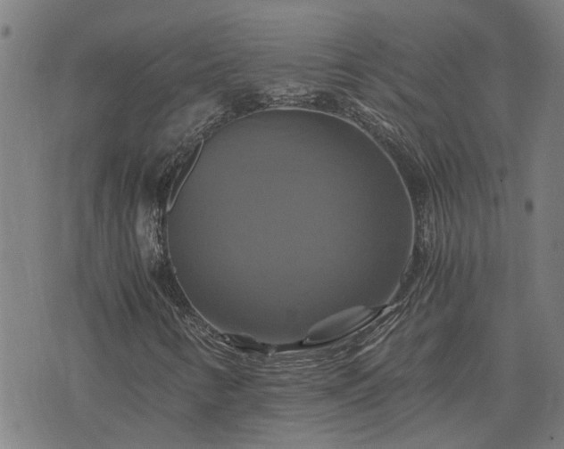 X0000075861346200609221745