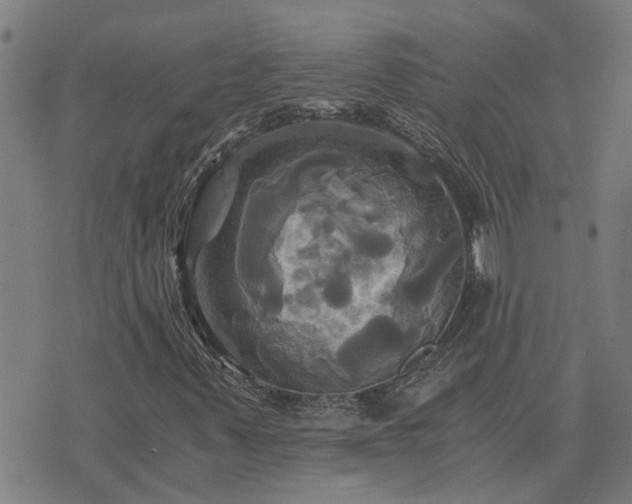 X0000075861347200609221745