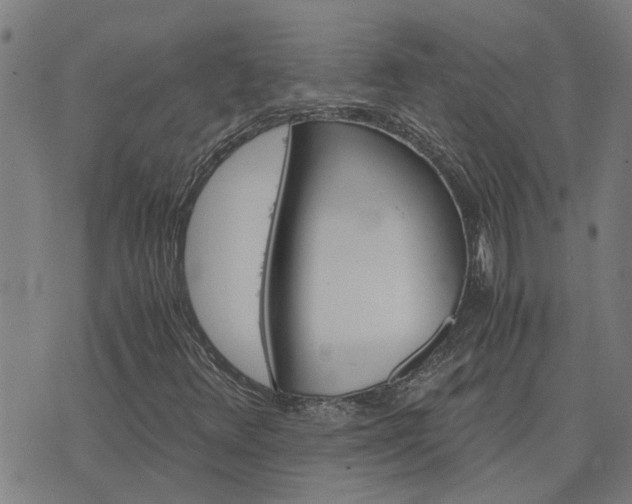 X0000075861348200609221745