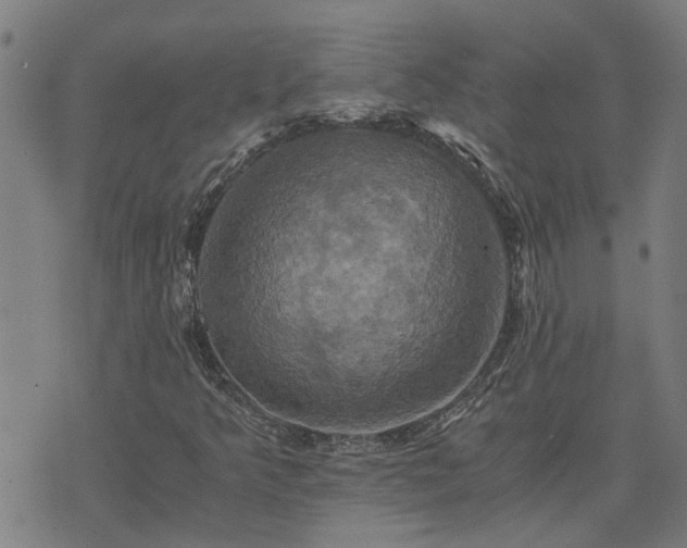 X0000075861349200609221745