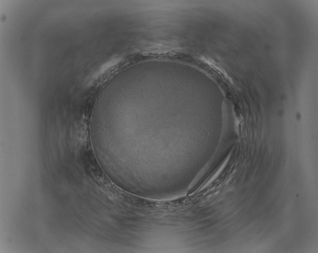 X0000075861350200609221745