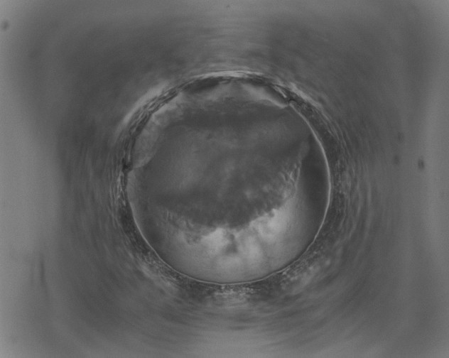 X0000075861351200609221745