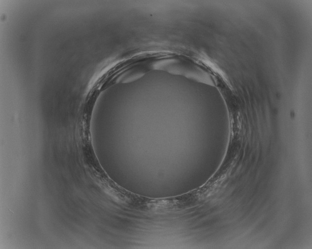 X0000075861352200609221745